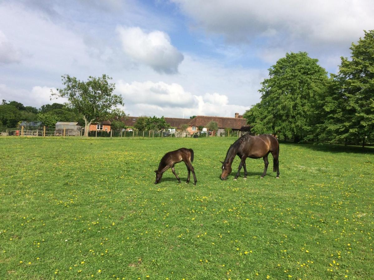 Bed & Breakfast Three Chimneys Farm Goudhurst